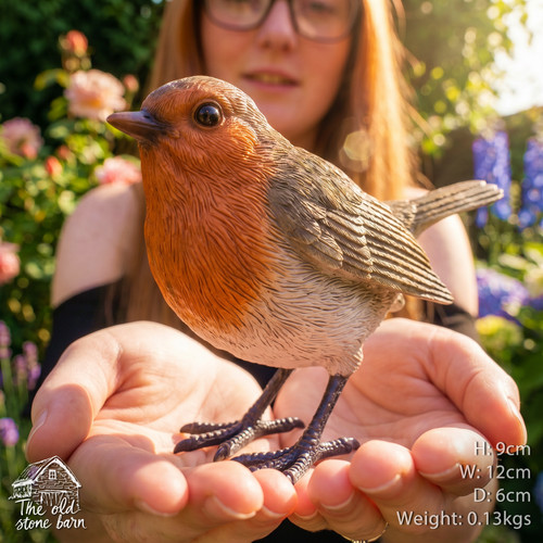 Robin bird sculpture - bird, garden