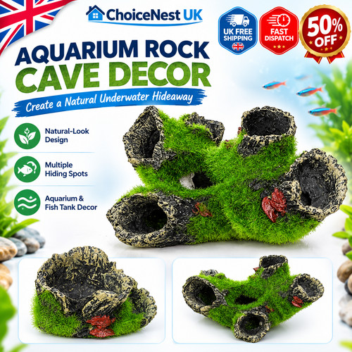 Aquarium fish tank - aquarium, ornament