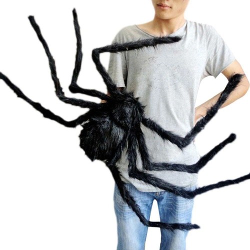 Halloween spider large black - spider,