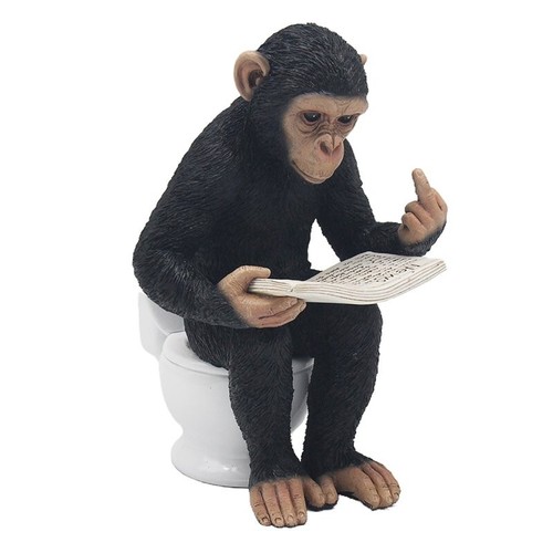 Cheeky monkey reading the - cheeky,