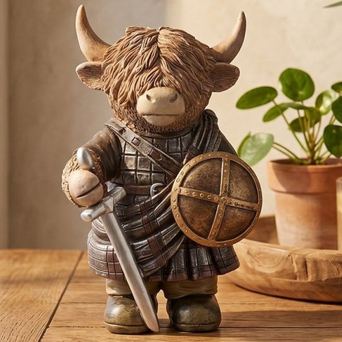 Lesser pavey highland cow - &,