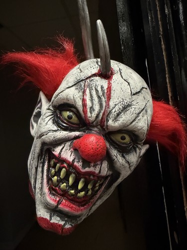 Hanging severed head - head, halloween