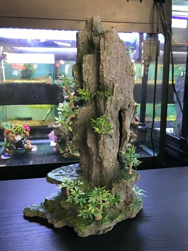 Large tall rock mountain fish - large,