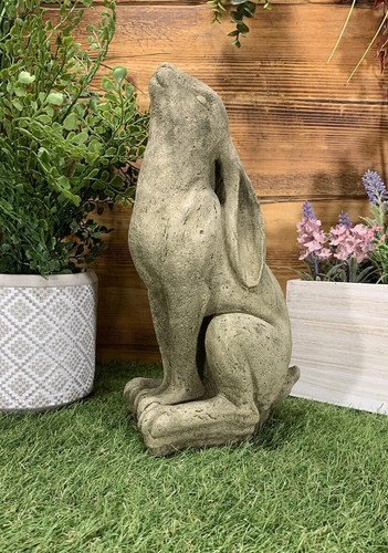 Stone garden moon gazing - gazing, hare