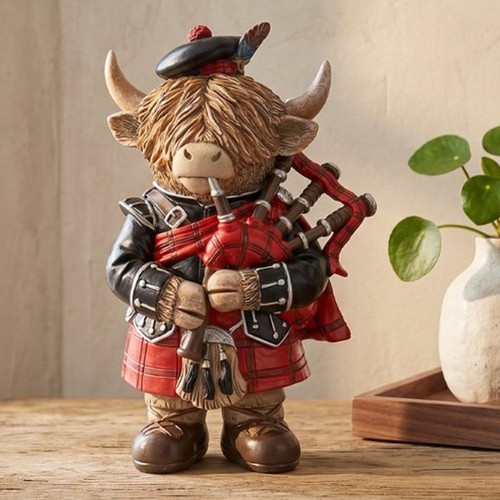 Lesser pavey highland cow - &,