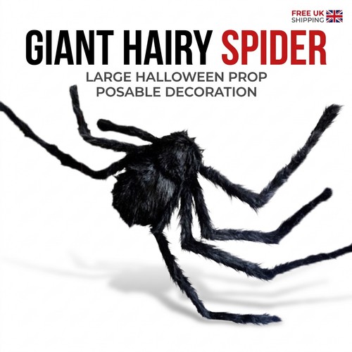Large black spider for - large,