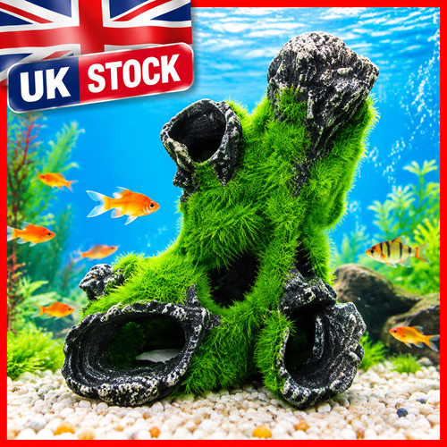 Aquarium fish tank - aquarium, ornament