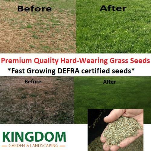 Grass seed hard - wearing, lawn